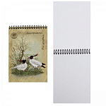 Скетчбук ЛИЛИЯ ХОЛДИНГ "Птицы", спираль