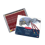 Набор пастельных карандашей DERWENT "Pastel Pencils" 24шт